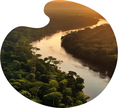 Floresta