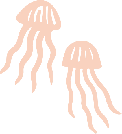 Jellyfish